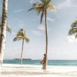 What Is Apogee Miami Beach?